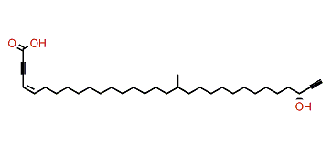 Aztequynol B